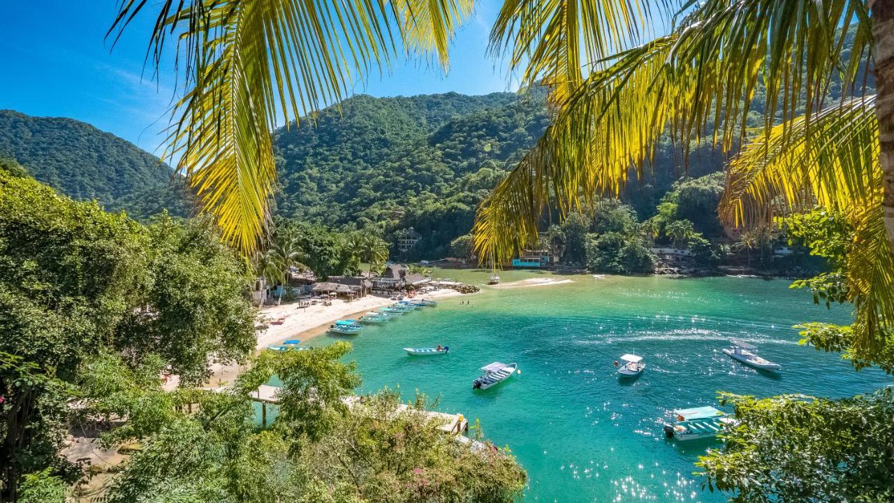 Villa Armonia Luxury Boutique Hotel Puerto Vallarta Ngoại thất bức ảnh