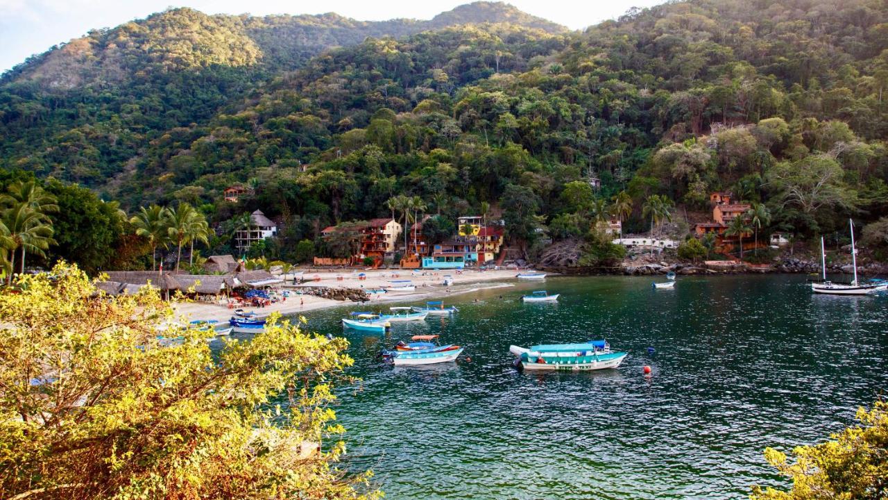 Villa Armonia Luxury Boutique Hotel Puerto Vallarta Ngoại thất bức ảnh