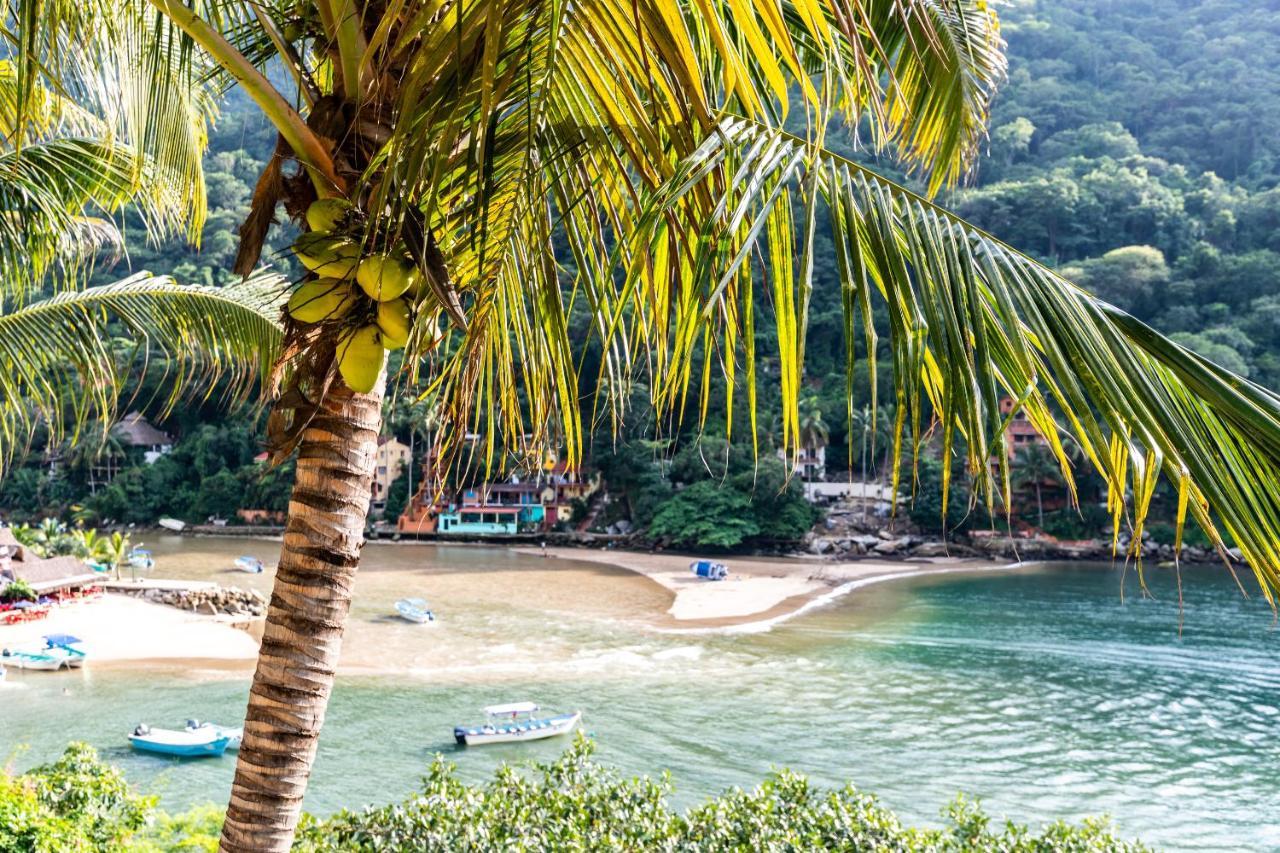 Villa Armonia Luxury Boutique Hotel Puerto Vallarta Ngoại thất bức ảnh